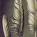 Image 02